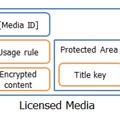 ライセンスドメディアの構造（NSM Initiatives資料より）