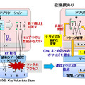 技術のポイント