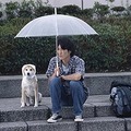 ShowTime、GW映画「犬と歩けば‐チロリとタムラ」のBB試写会を開催〜〆切は4/16