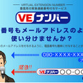 VEナンバー