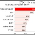 夏に楽しみたいこと