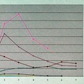 Sasser.Bの感染報告数は全世界で1万超に −シマンテック