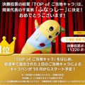 「ご当地キャラ総選挙」1位に輝いたふなっしー