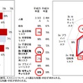 「青少年がインターネットを安全に安心して活用するためのリテラシー指標」テスト結果