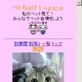 ペトちぇけの画面レイアウト（サンプル）