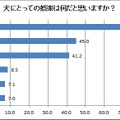 犬にとっての娯楽