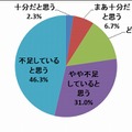 カップラーメンの野菜のボリューム