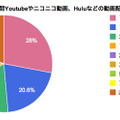 1日あたりの動画配信サービスの利用時間