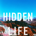 LIFE sonで開催中の「Hidden Life」展