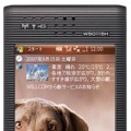 本体正面
