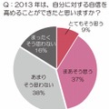 2013年は、自分に対する自信を高めることができたと思いますか？