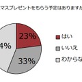 クリスマスプレゼントをもらう予定はありますか？