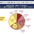 卒業旅行でリーダーを務めると出世する？　アンケート結果