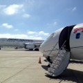 JAL×Gogo