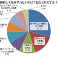 節約してもゆずれないものはどれですか？