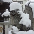 首都圏の雪（2月8～9日）