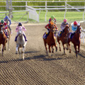 AKB小嶋陽菜のランジェリー姿CM第3弾！　今度は馬と……