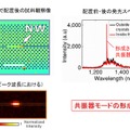 光ナノ共振器の形成を確認 