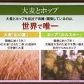 『サッポロ まるごと国産』新商品発表会