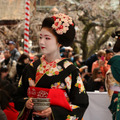 【フォトレポート】北野天満宮で「梅花祭」