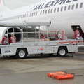 JAL ひなまつりフライト