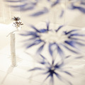 ELTTOB TEP ISSEY MIYAKE / GINZA