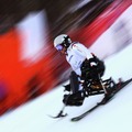 ソチ冬季パラリンピック、アルペンスキー男子回転座位、森井大輝選手　(c) Getty Images