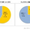 「家庭でのWiFi利用」「テレビのネット接続」