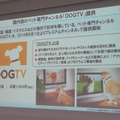 犬が楽しむチャンネル「DOGTV」