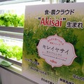 目玉展示となったのは、余剰設備となった元半導体工場で製造される野菜。