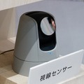 視線検知用のセンサーは大きめ。このサイズになると「カメラではない」と明記することも必要になる。