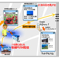 「位置情報を活用したターゲティング情報配信」の利用イメージ