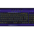 ELPH106のネイビーモデル