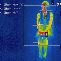 サーモグラフィ調査（GreenFan Japan30分経過の場合）