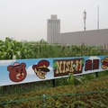 東京・台場地区のダイバーシティ東京に、リアル「NISAの村」もオープン