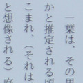 「Kindle」アプリの標準文字サイズで小説を表示。ここまで寄って、ようやく文字のひとつひとつが緻密なドットで構成されているのが分かる。