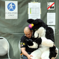 Eurofurence 2014（c）Getty　Images