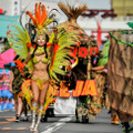 浅草サンバカーニバル（c）Getty Images