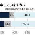 カーオーディオは重宝しているか？