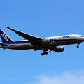 ANA B777《撮影 大野雅人》