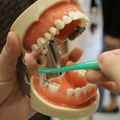 奥歯専用の歯ブラシ