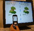 キャラが受けているリヴリーアイランドのイベントは大盛況