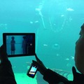 箱根水族館の水槽前では、360°ARを堪能できる。水槽前の空間が、スマホの画面内では周囲360°がエヴァンゲリオンの世界に変化する。