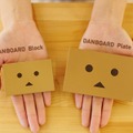 薄型モデル「DANBOARD Plate」（右）と軽量モデルの「DANBOARD Block」