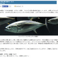 葛西臨海水族館、1月14日の発表