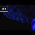 左上顎-裏側