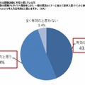 幅広くさまざまな手を打つ、という考え方は有効だと思うか