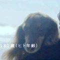 「長生きしてね」愛犬と3つの約束