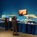 「大アマゾン展」（国立科学博物館）