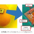 サイズは従来の1/4以下のサイズ。将来的には更に高集積化を進め、ボード間やチップ間の光配線への適用を目指していく（画像はNEDOのリリースより）。